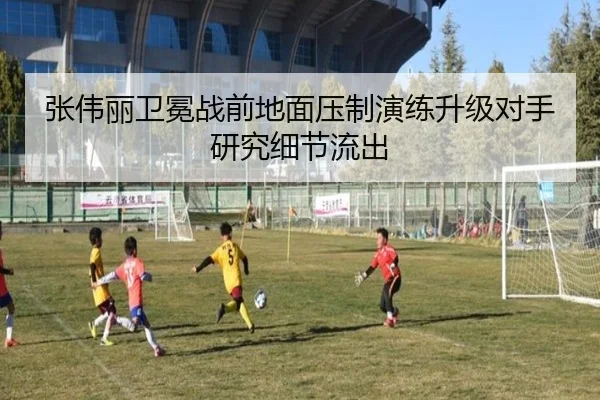 张伟丽卫冕战前地面压制演练升级对手研究细节流出